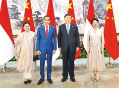 <b>習近平會見印度尼西亞總統佐科</b>